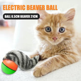 Electric Beaver Weasel Rolling Ball Chasing Claws Bite Toys for Pet Cat Random Puppy Pet Dogs Cat Chew Molar Toys