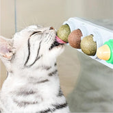 4 Pet Herb Silvervine Ball Toys, Extra Cat Energy Ball, Consumable Cats Lick Kitten Chew, Teeth Cleaning Dental Wall Treats