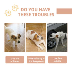 Pet Defecation Inducer, Pet Spot Training Toilet Induction Pet Toilet Inducer