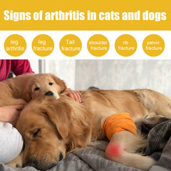 Pet Joint Repair Spray, Cats And Dogs Relieve Body Joint Soreness Muscles And Bone Care Spray