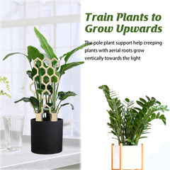Garden Plant Trellis Home Wooden Pot Climbing Pergola Balcony Decoration Support Flower Arrangement Supports