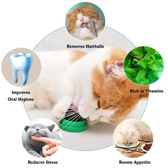 4 Pet Herb Silvervine Ball Toys, Extra Cat Energy Ball, Consumable Cats Lick Kitten Chew, Teeth Cleaning Dental Wall Treats