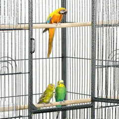 Bird Cage Large Play Top Bird Parrot Finch Cage Macaw Cockatoo Pet Supplies 53